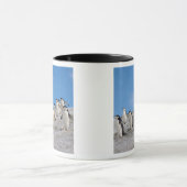Baardrobben | Pygoscelis Antarctica Mok (Midden)