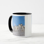 Baardrobben | Pygoscelis Antarctica Mok (Voorkant links)