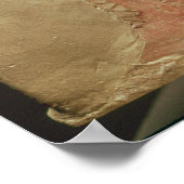 Baas voor dieren poster (Hoek)