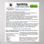 Babesia Information Fact Poster (Voorkant)