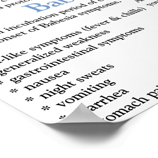 Babesia Information Fact Poster (Hoek)