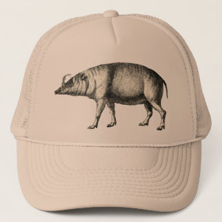 Babirusa Wild Pig Boar Hog  Art Pet