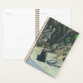 Baboon animal sauvage Animaux (Devant avec enveloppe)