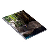 Baboon Au Paradis, Carnet (Côté Droit)