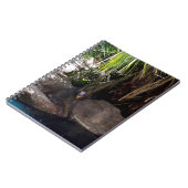 Baboon Au Paradis, Carnet (Côté gauche)