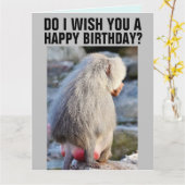 BABOON BILLEN GRAPPIGE VERJAARDAGSKAARTEN, ROOD &  KAART (Gele Bloem)