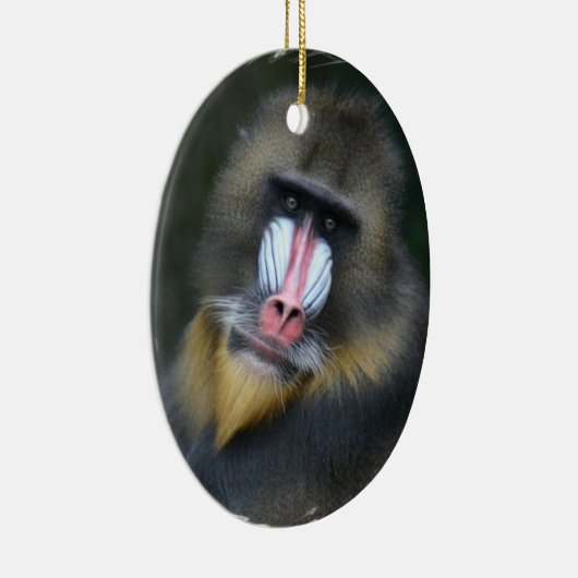 Baboon Face Ornament (Rechts)