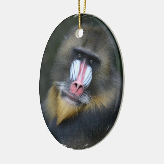 Baboon Face Ornament (Links)