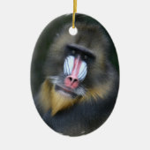 Baboon Face Ornament (Voorkant)
