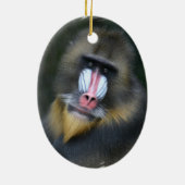 Baboon Face Ornament (Achterkant)