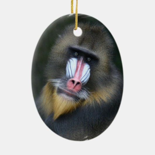Baboon Face Ornament (Achterkant)