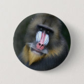 Baboon Face Round Button (Voorkant)