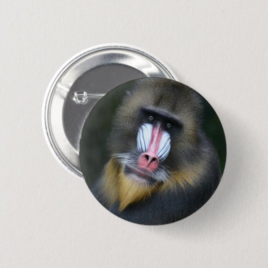 Baboon Face Round Button (Voorkant /achterkant)