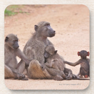 Baboon familie zit op de grond bier onderzetter