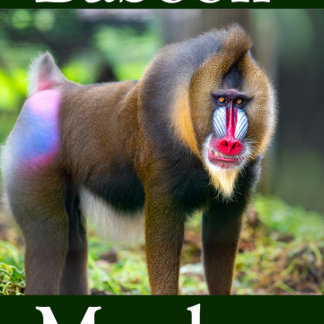 Baboon Monkey Legpuzzel