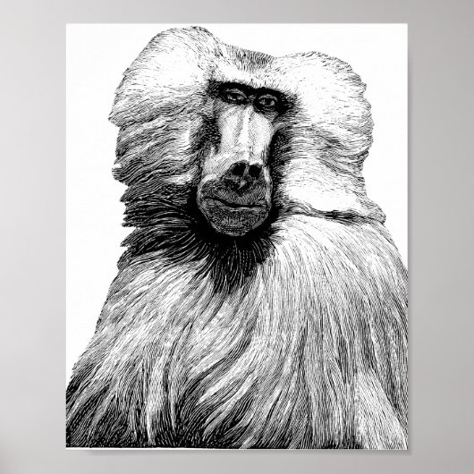 Baboon Monkey Oerwoud Safari Illustratie Art Poster (Voorkant)