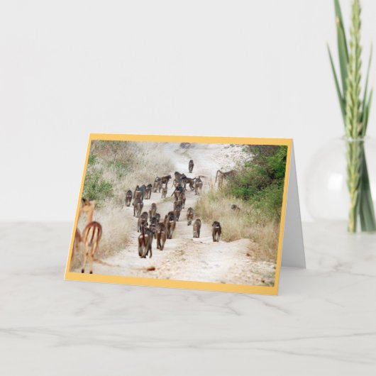 Baboon rush kaart (Voorkant)