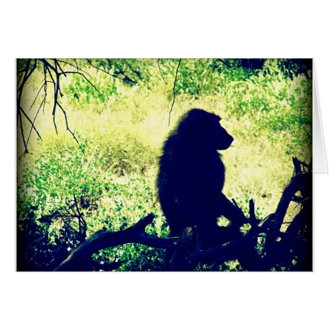 Baboon Silhouette (Voorkant Horizontaal)