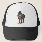 Baboon Trucker Pet (Voorkant)