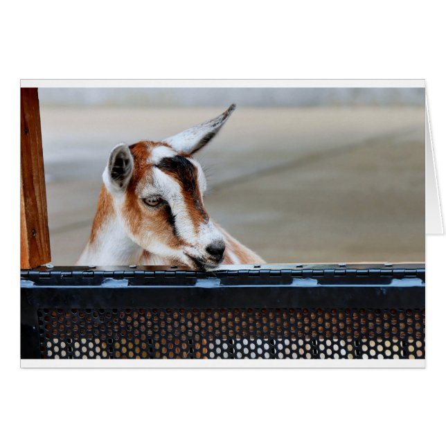 Baby (Voorkant Horizontaal)