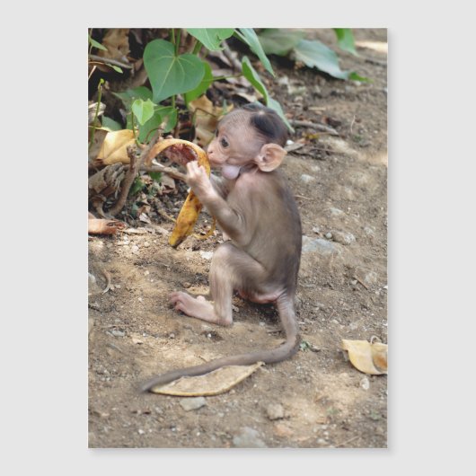 Baby aap (Voorkant)