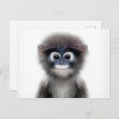 baby aap briefkaart (Voorkant / Achterkant)