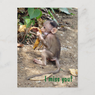 Baby aap briefkaart