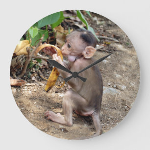 Baby aap grote klok