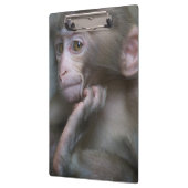 Baby aap klembord (Links)