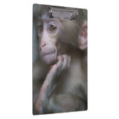 Baby aap klembord (Rechts)