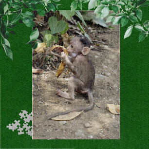 Baby aap legpuzzel