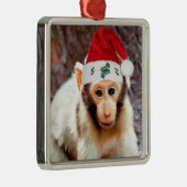 Baby aap met Kerstmis Metalen Ornament (Rechts)
