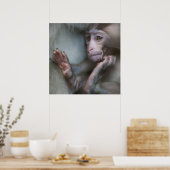 Baby aap poster (Keuken)
