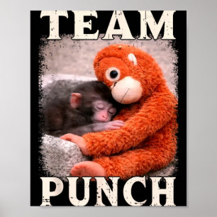 Baby aap slaan meme team punch trend meme poster