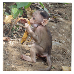 Baby aap tegeltje