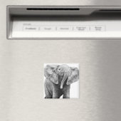 Baby African Elephant Magnet (In Situ (Lave-vaisselle))