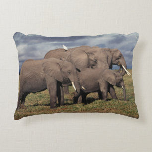 Baby Afrikaanse Olifant met familie Accent Kussen