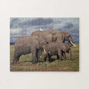 Baby Afrikaanse Olifant met familie Legpuzzel