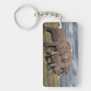 Baby Afrikaanse Olifant met familie Sleutelhanger