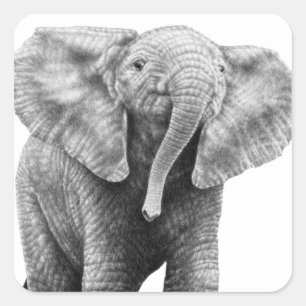 Baby Afrikaanse olifantensticker Vierkante Sticker