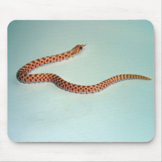 Baby Albino Hognose Snake Mousepad Muismat