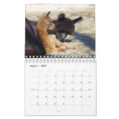 Baby Alpaca Calendrier 2023 (Mar 2027)