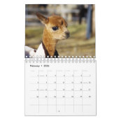 Baby Alpaca Calendrier 2023 (Feb 2026)