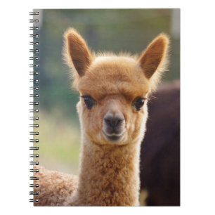 Baby Alpaca Spiral-laptops Notitieboek