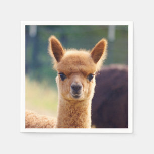 Baby Alpaca Standard Cocktail Napkin Servetten