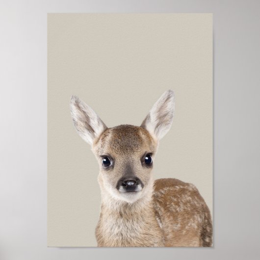 Baby Animals Nursery Poster - Deer (Voorkant)