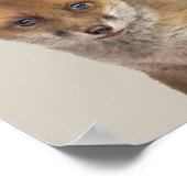 Baby Animals Nursery Poster - Fox (Hoek)