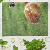 Baby Antelope Theedoek (Gevouwen)