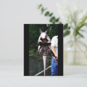 Baby Armadillo in een klap Briefkaart (Staand voorkant)