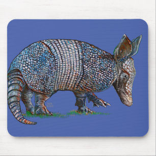 Baby Armadillo Muismat